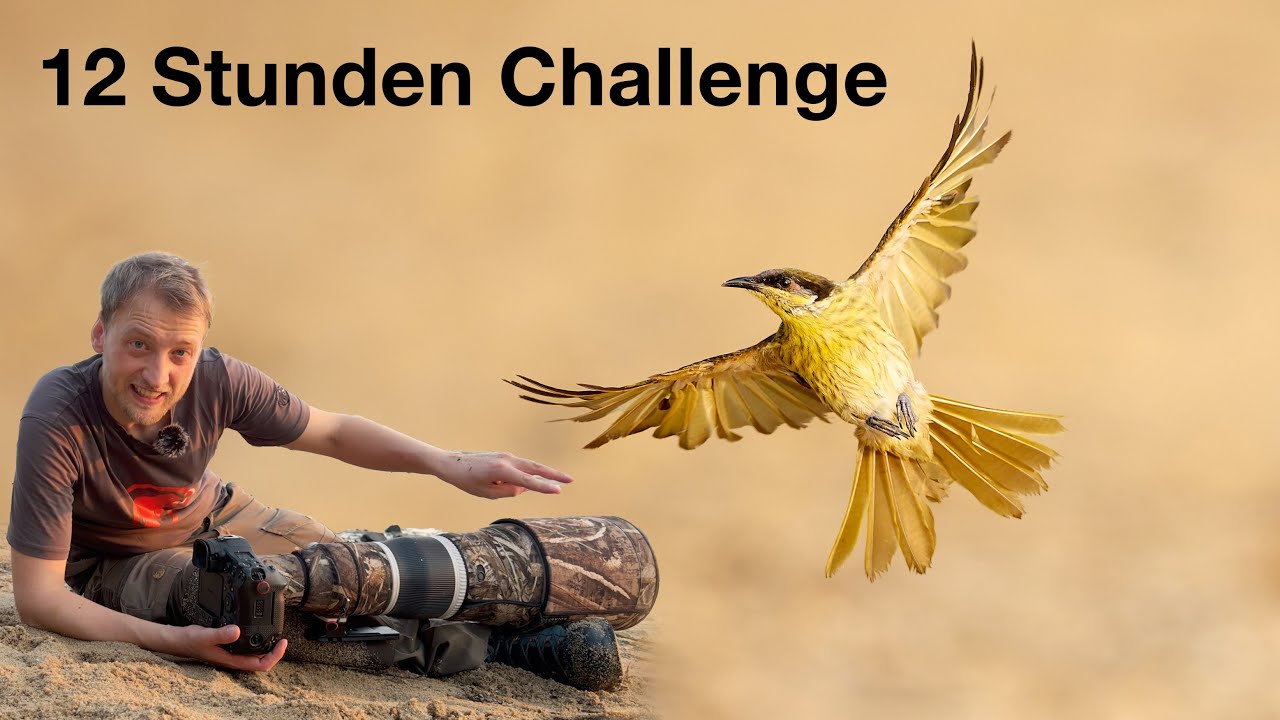 Vogelfotografie an neuem Ort - So gehe ich vor