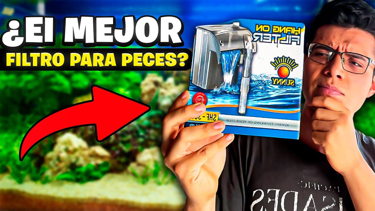 ¿El MEJOR filtro para PECES pequeños? Sunny 300