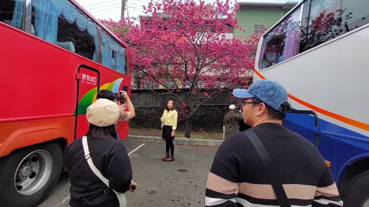 ANG GAGANDA NG MGA FLOWER NG BLOOZOM.