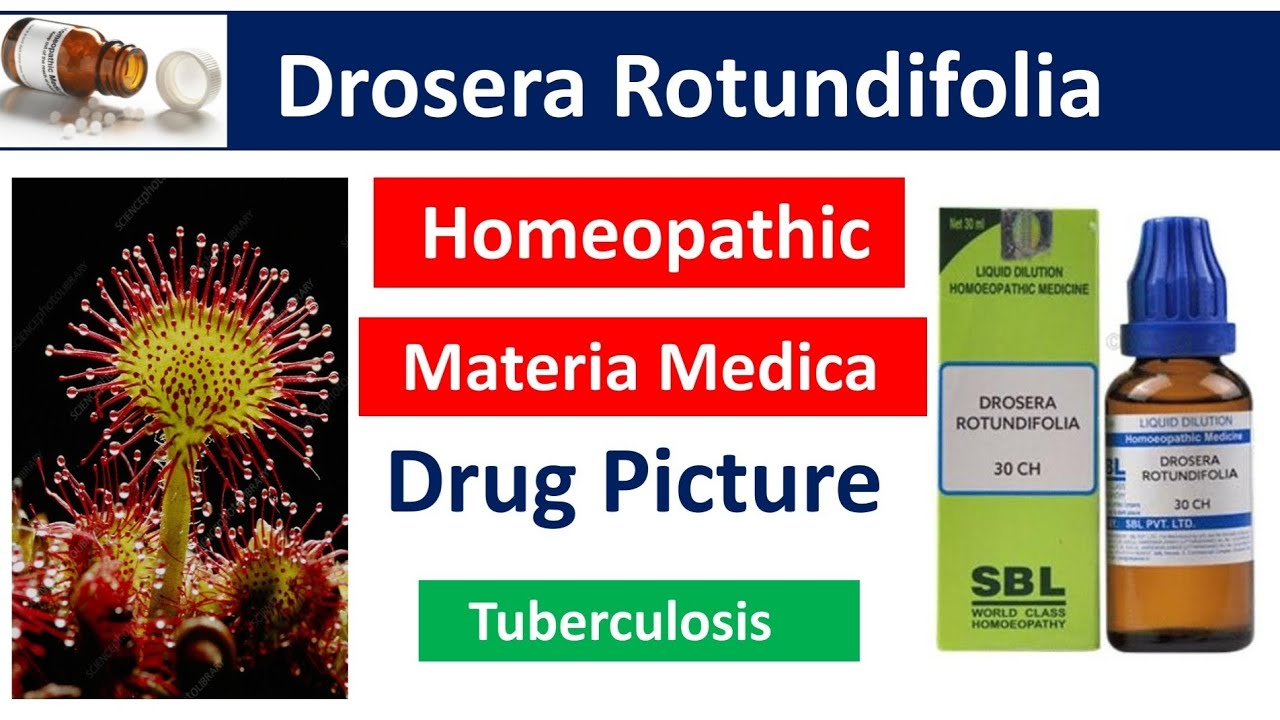 Drosera Rotundifolia Homeopathic Medicine |Drug Picture|Materia Medica #bhms #materiamedica #drosera