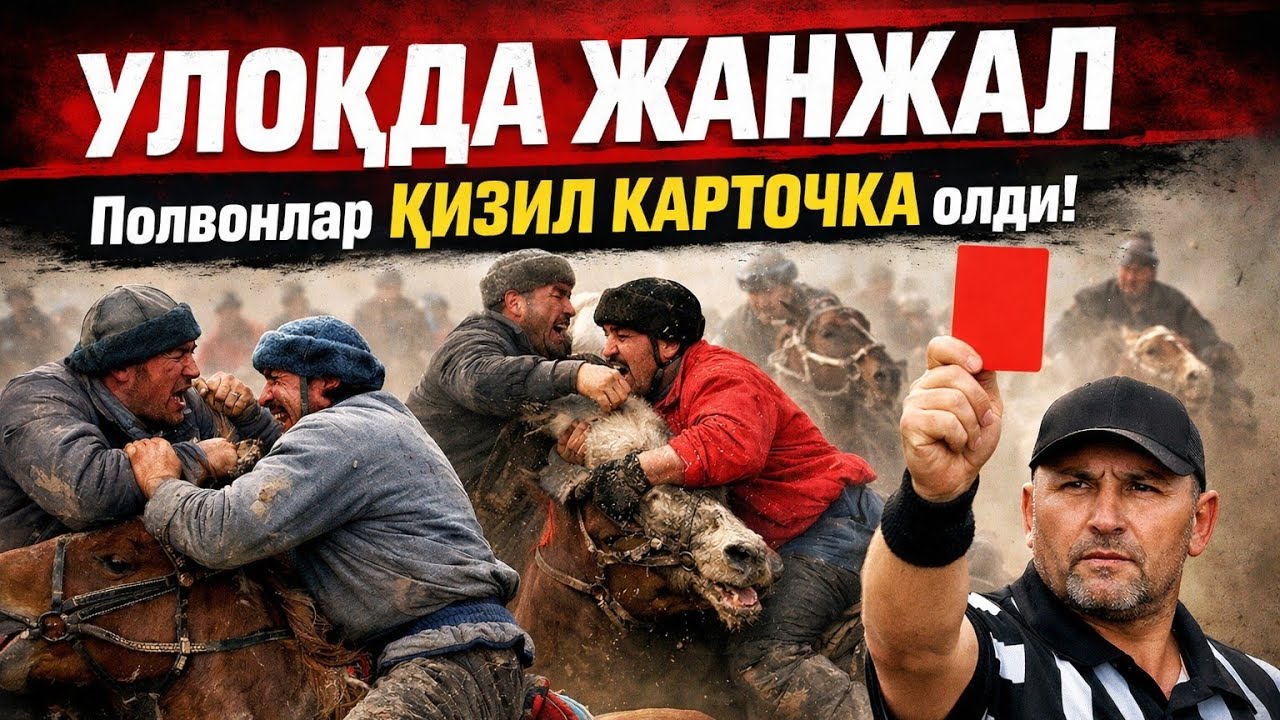 Улокда жанжал полвонлар кизил олди