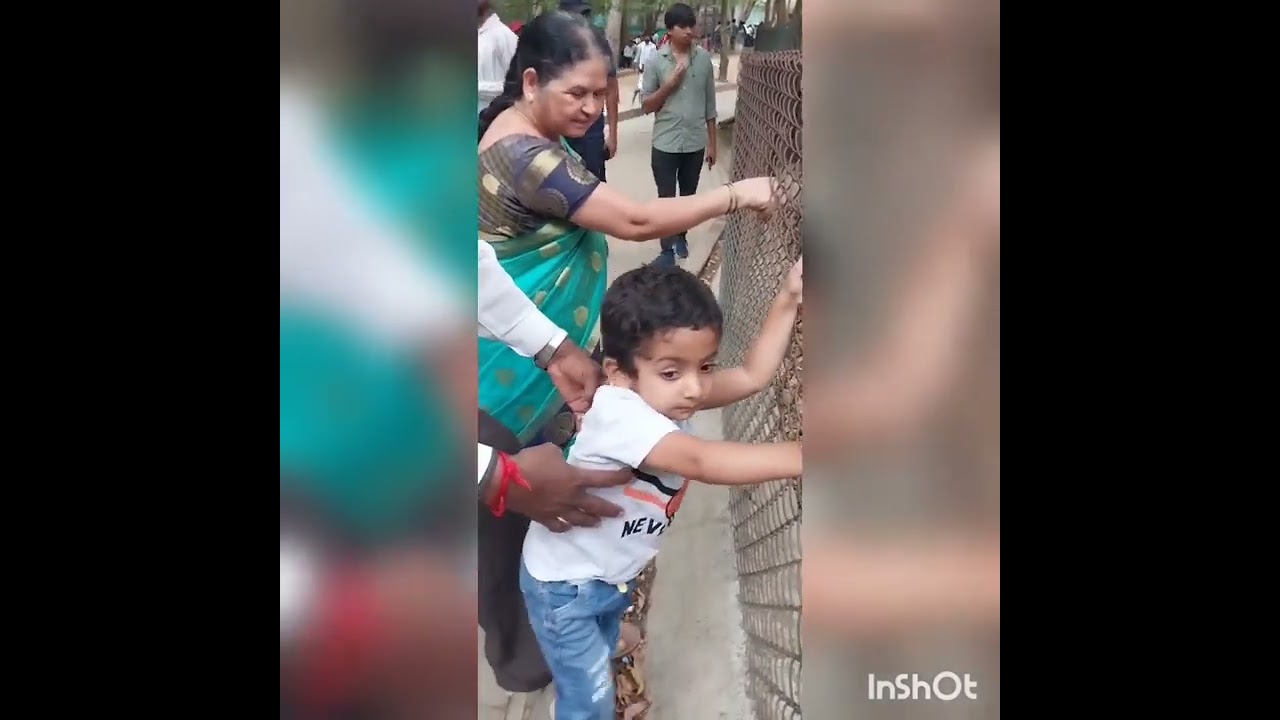 zoo vlog