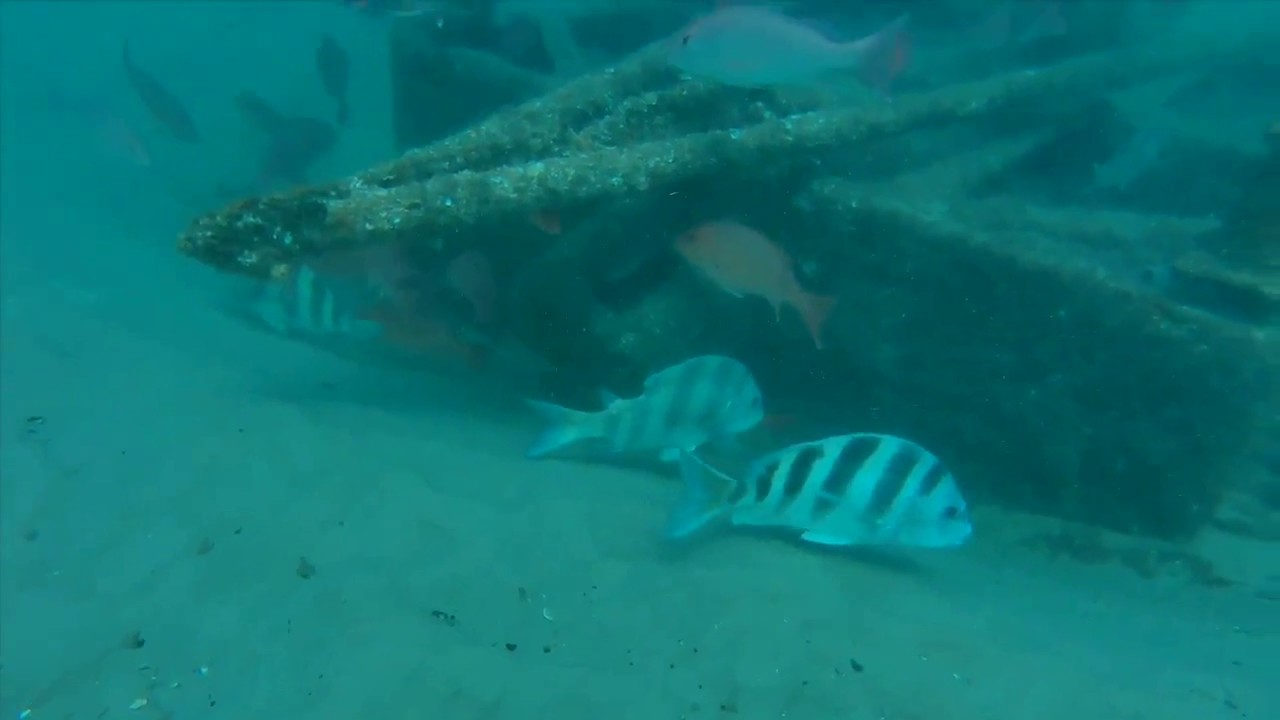 Pensacola Bay Piling Barge Drone Video - StrikeLines Fishing Charts