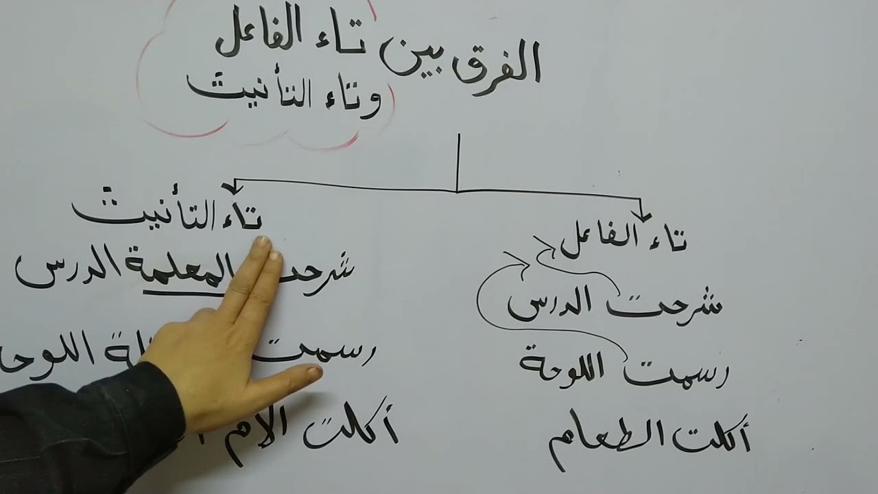 الفرق بين تاء الفاعل وتاء التانيث