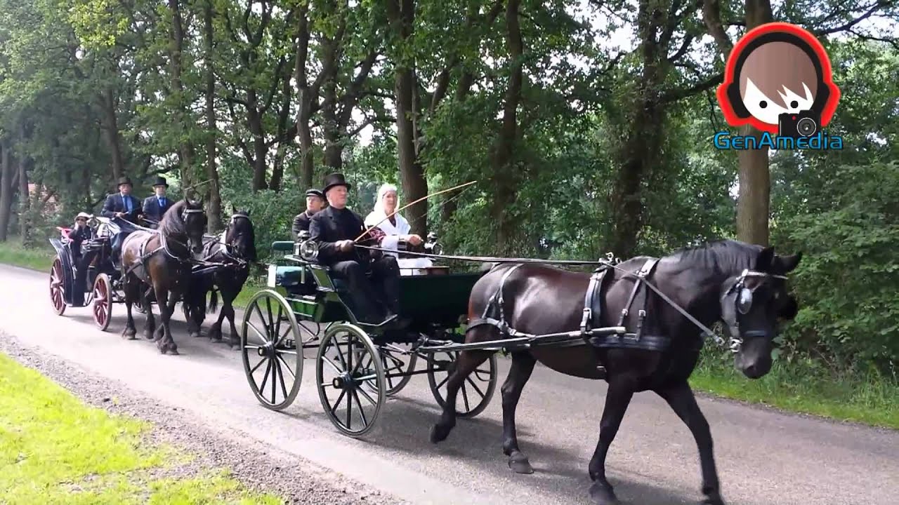 Koetsentocht door het mooie Westerwolde