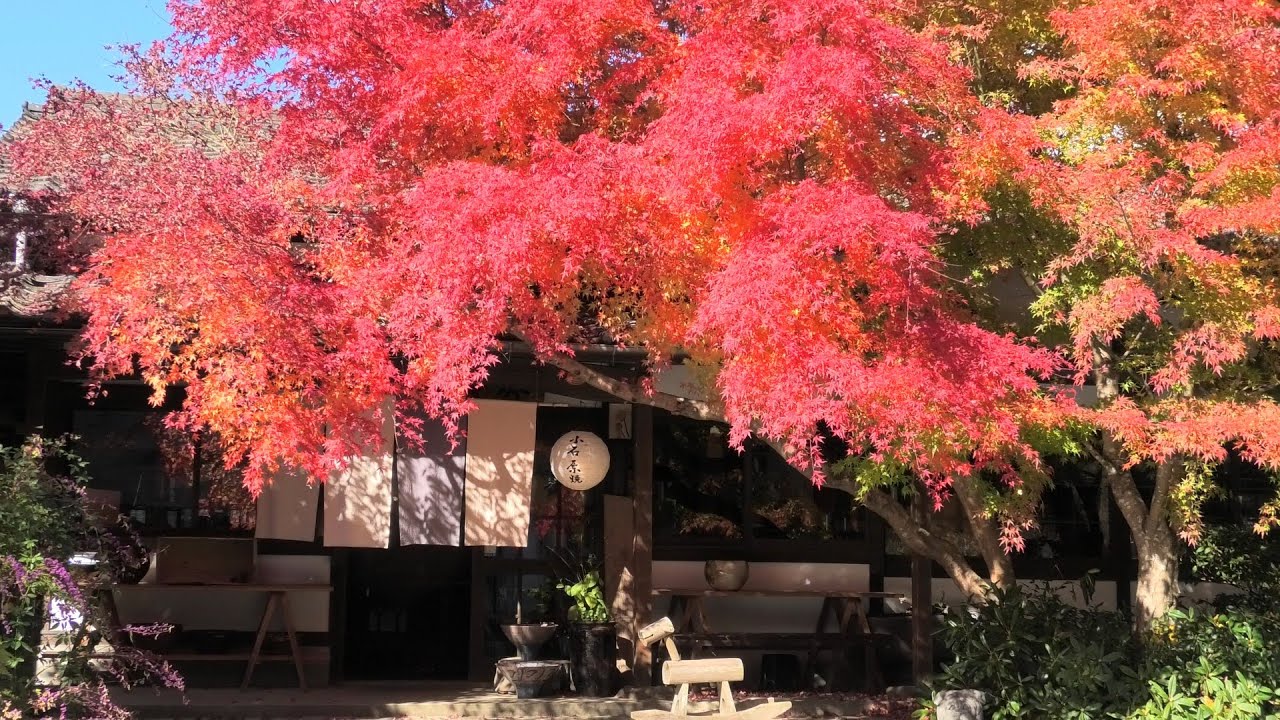 小石原焼と紅葉　〇〇の妖精誕生ルーツへ行ってみた　四季折々に訪れたい窯元