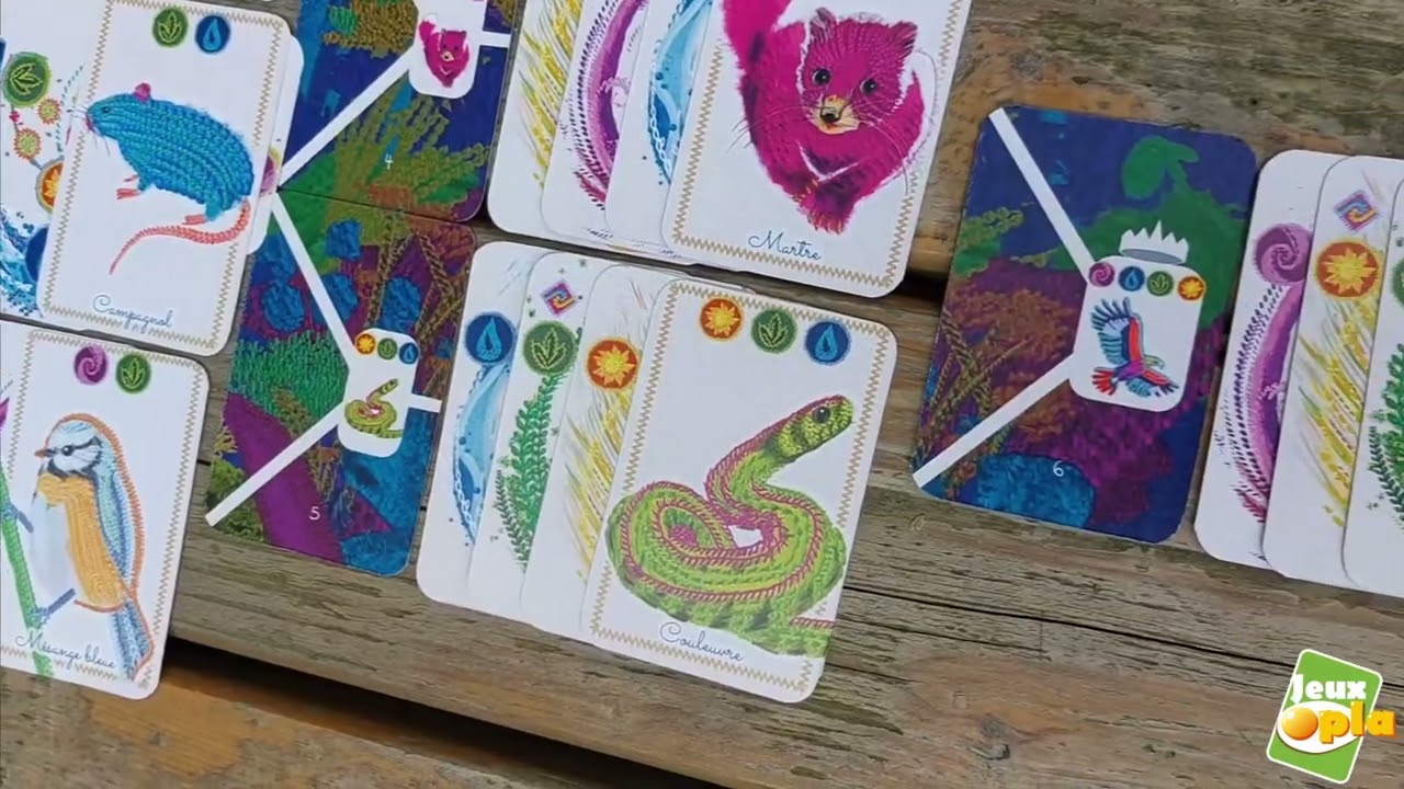 Dame Nature - juin 2025 - Jeux Opla