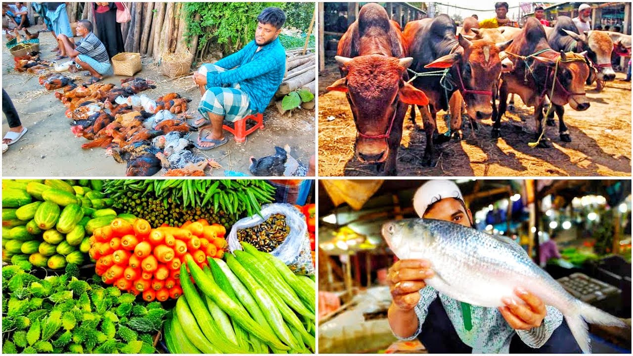 রাঙ্গুনিয়া এক বৃহত্তম রোয়াজার হাট বাজার চট্টগ্রাম 😍