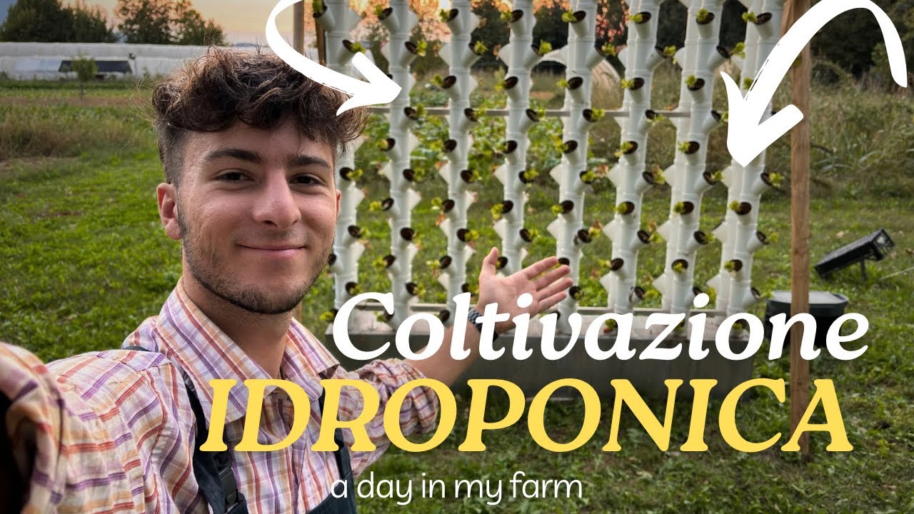 NUOVO Impianto IDROPONICO in AZIENDA: Risultati Sorprendenti in 30 Giorni! 🌱💧