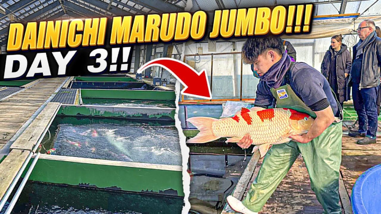 DAY 3 IN THE MOUNTAINS! MARUDO...DAINICHI!!!