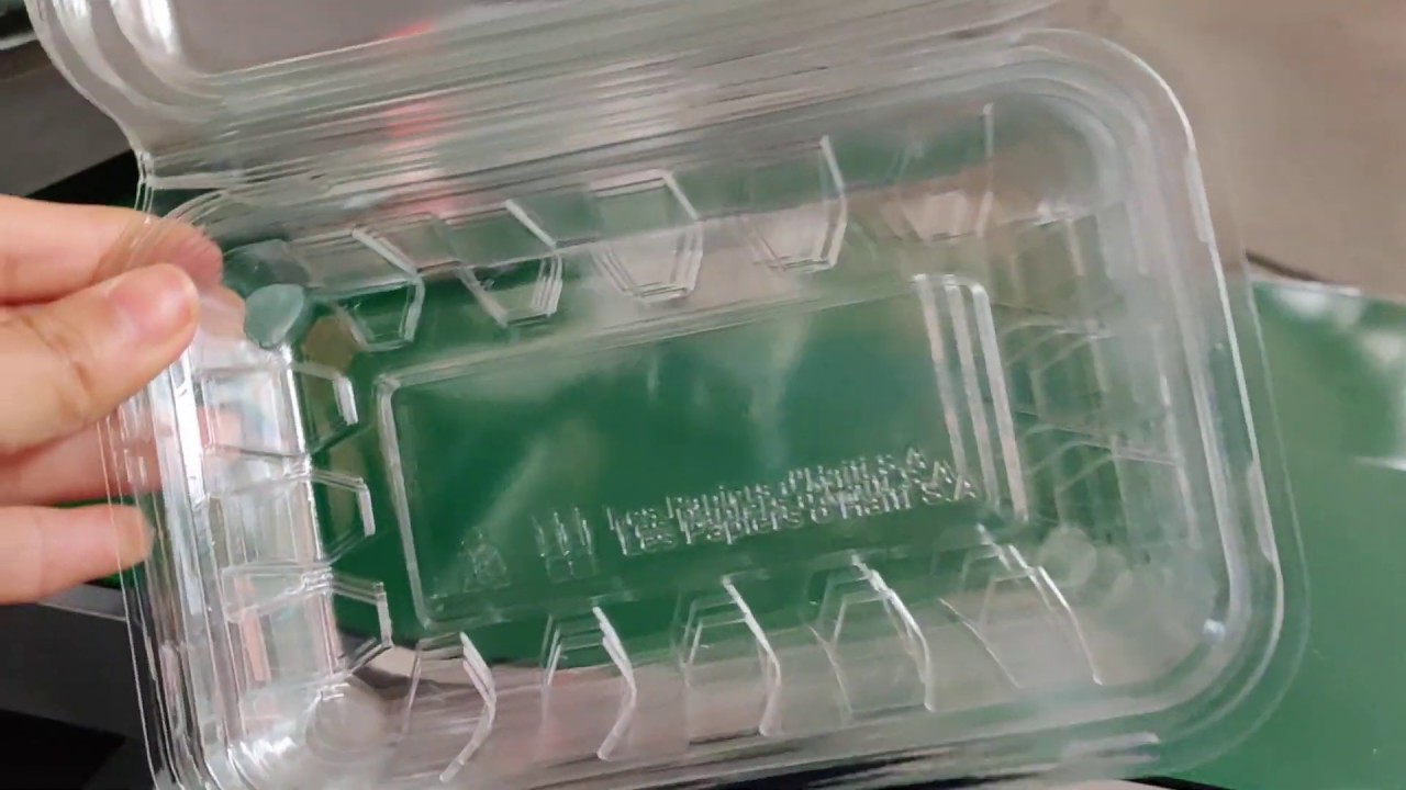 PP/PS/PET plastic container tray lunch box lid thermoforming machine