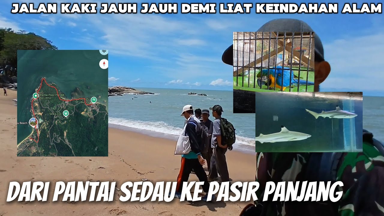 MENEMPUH PERJALANAN DARI SEDAU KE PASIR PANJANG!! DEMI MELIHAT SEMUA HEWAN YG ADA DI TANJUNG BAJAU!!