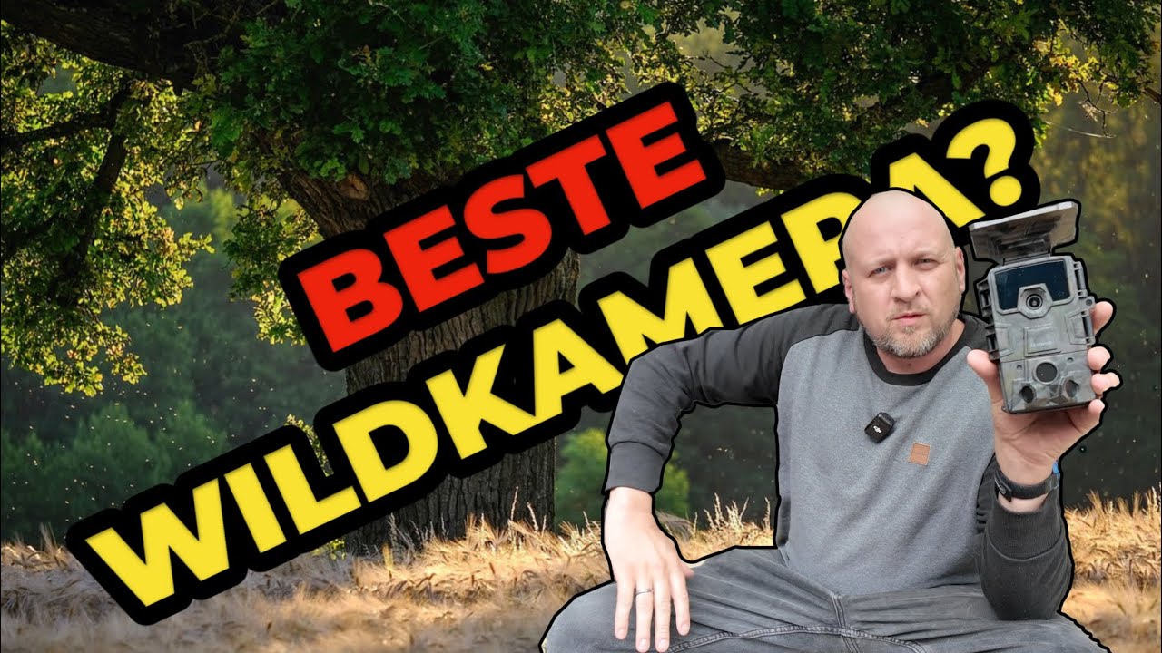 Wildkamera Test 2025 mit Handy&uuml;bertragung unter 100 Euro  Testsieger