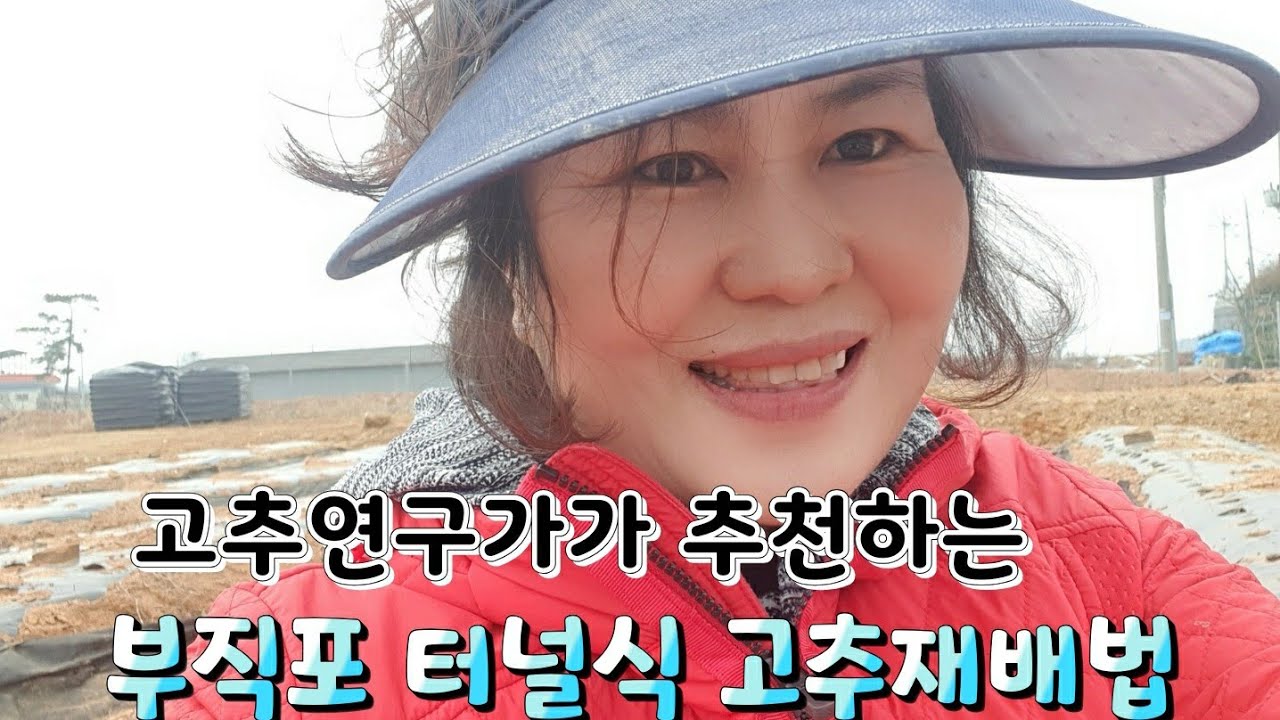부직포 터널식 고추재배방법