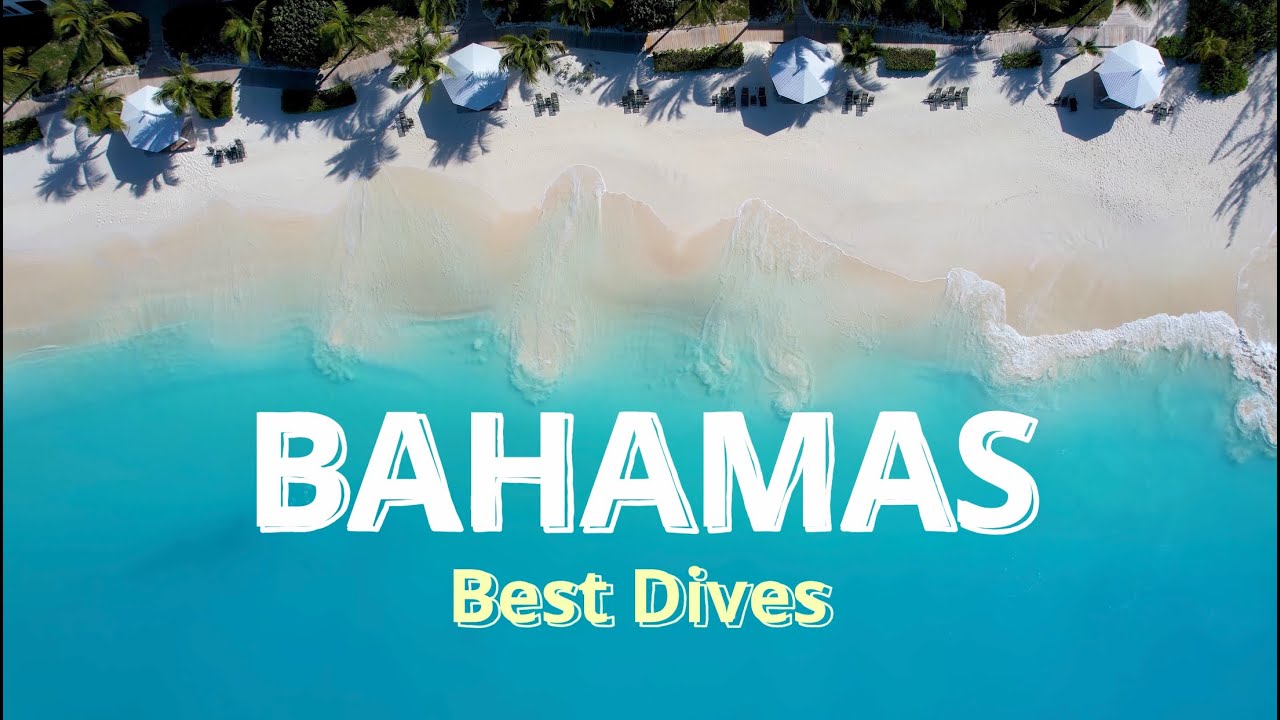 BAHAMAS BEST DIVE SITES - Nassau