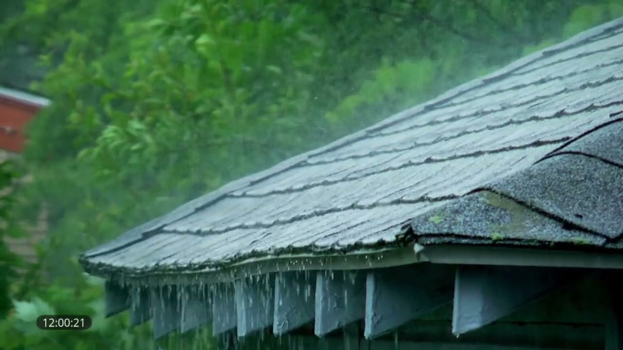 Som de Chuva na Casa da Floresta 🌧️ | Relaxamento Profundo e Sono Tranquilo