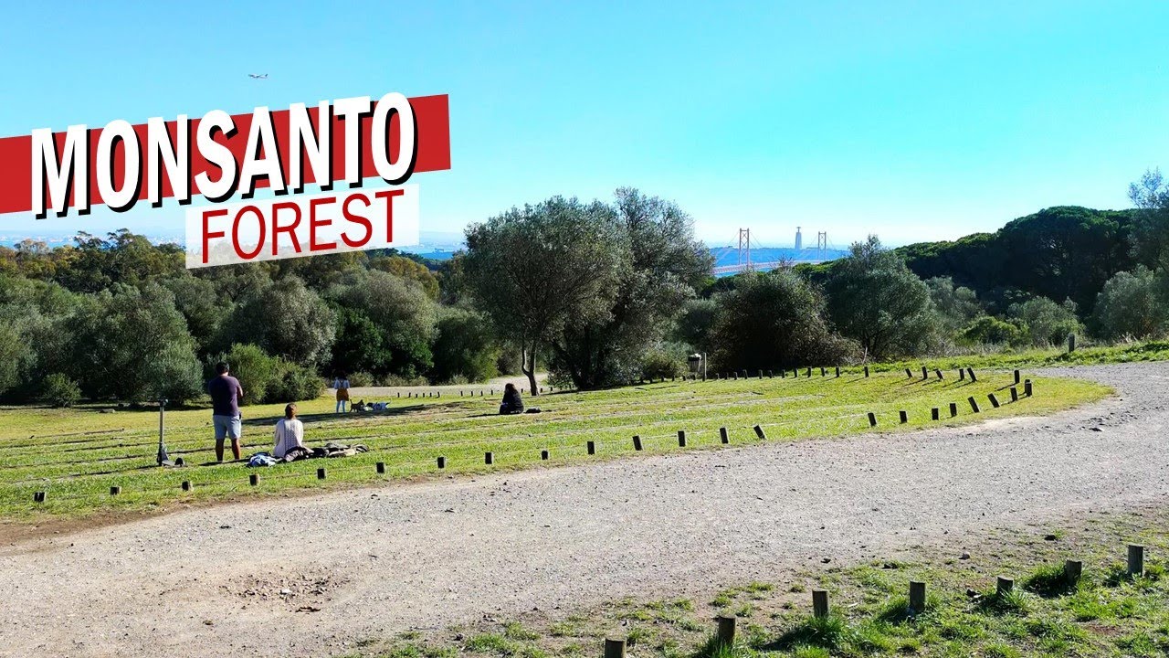 Lisbon 🇵🇹 Walk - Montes Claros Viewpoint, Walking Routes: Monsanto Forest