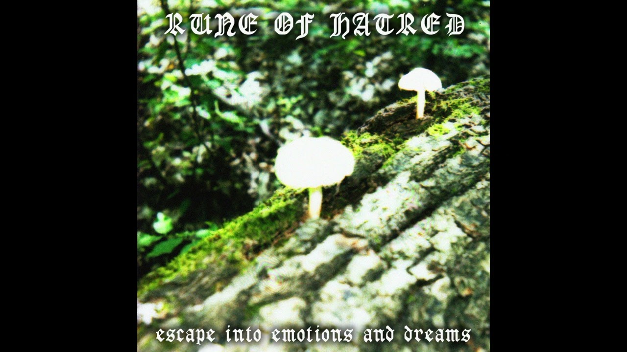rune of hatred - escape into emotions and dreams (Demo) ( Dungeon Synth )