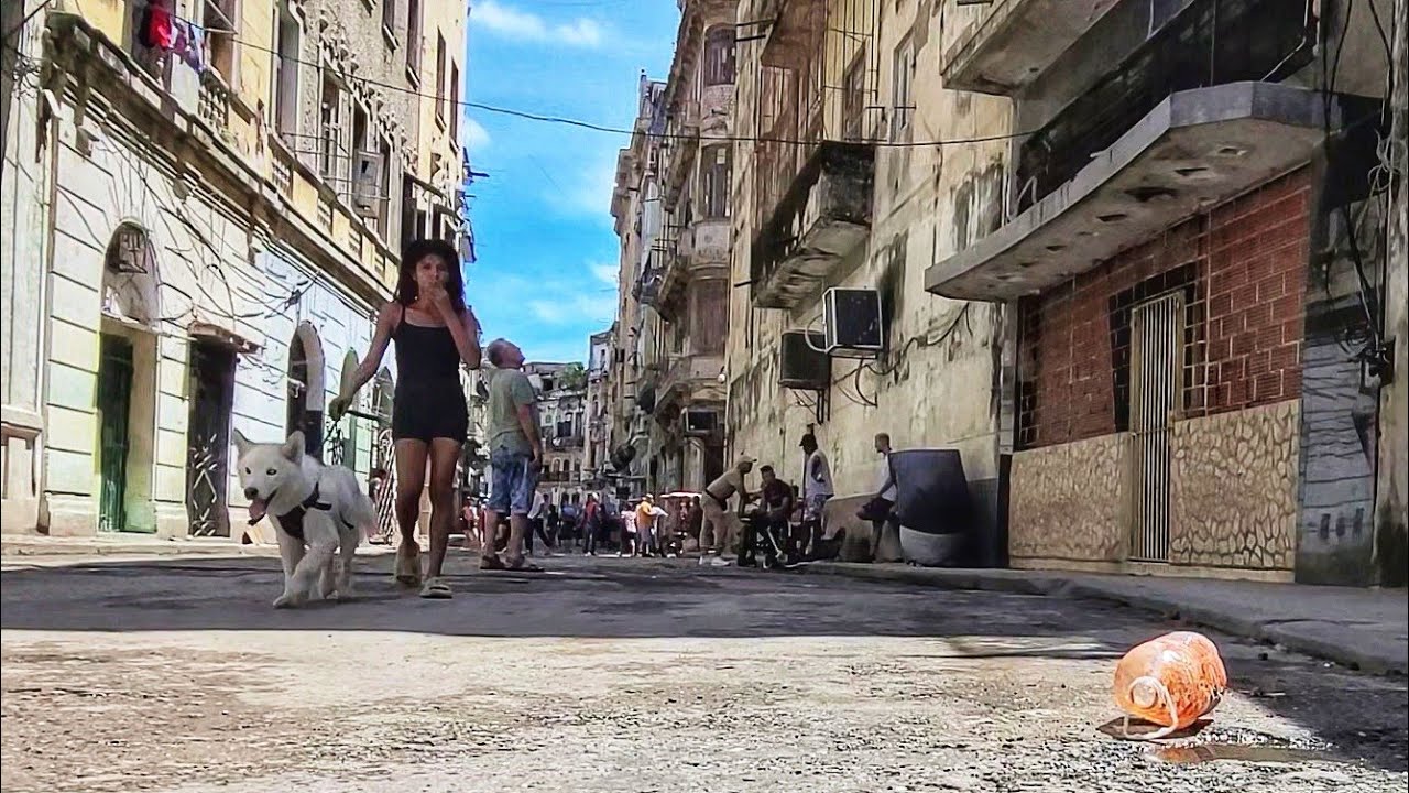 Что люди на Кубе должны делать, чтобы добыть еду&hellip;