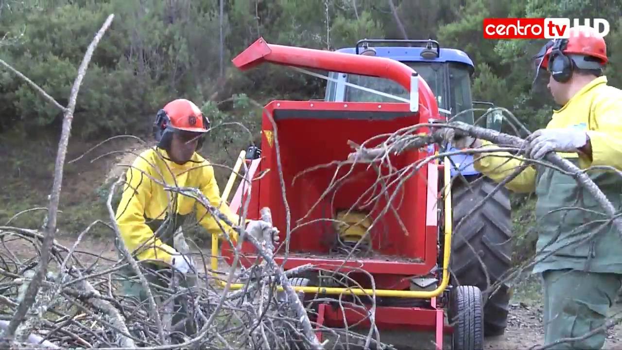 Sapadores Florestais querem mais apoios financeiros