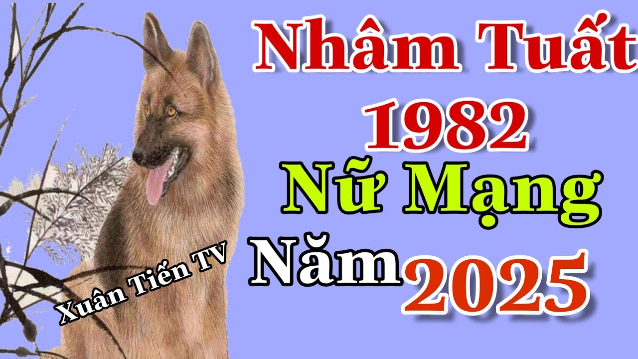 Vận Trình Năm 2025 Nhâm Tuất 1982 Nữ Mạng Gặp Rất Nhiều Khó Khăn