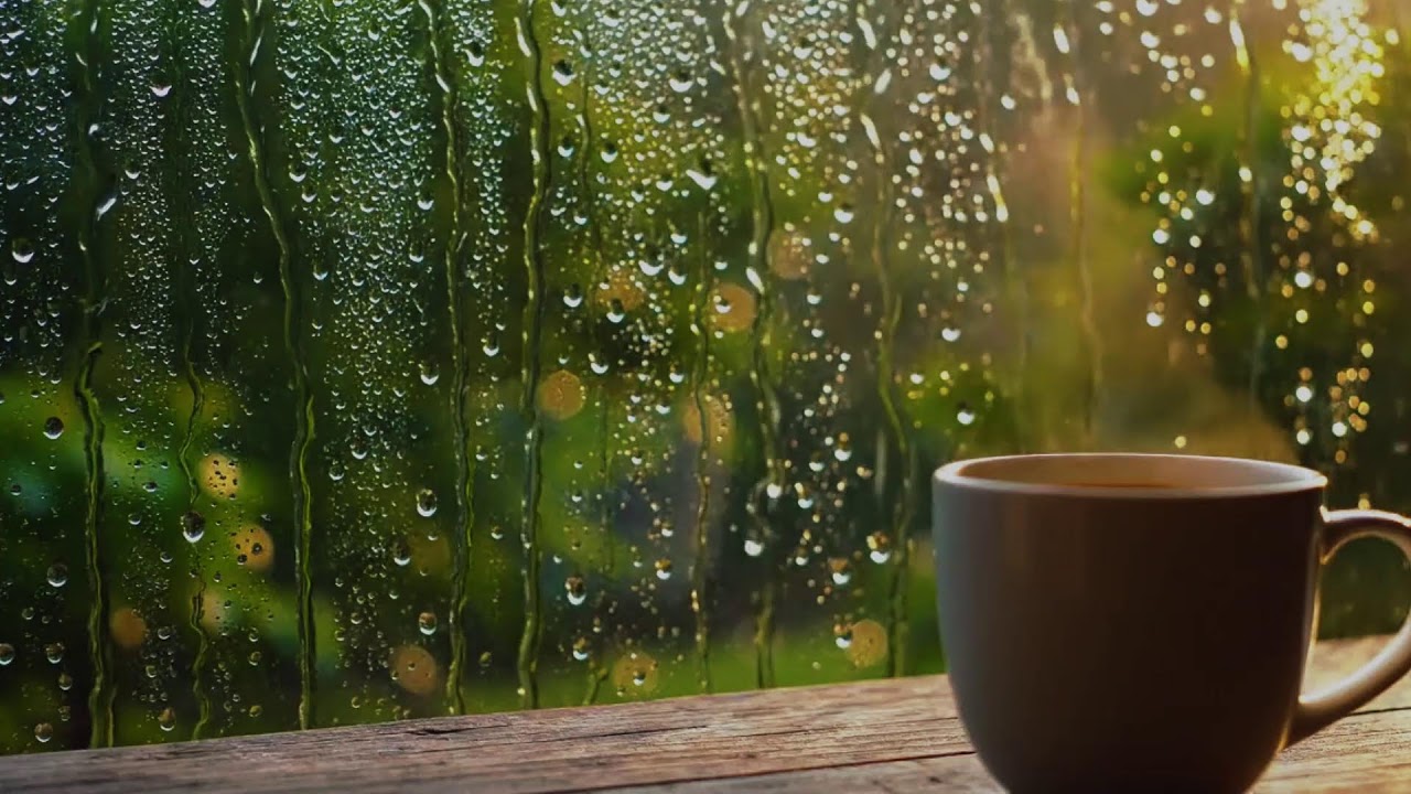 RainVibes — Relaxing Rain Sounds for Relaxation (No Ads)