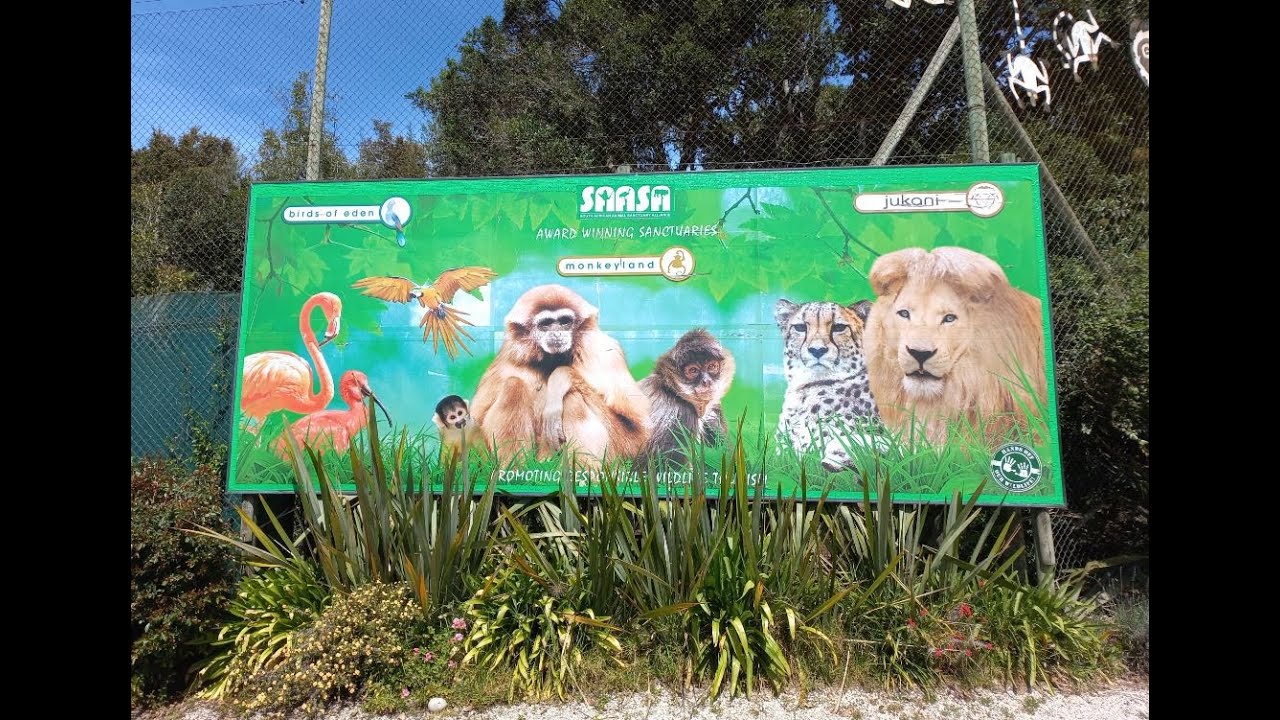 Birds of Eden🐦➡️Monkeyland🐒➡️Jukani Wildlife Sanctuary🐅➡️