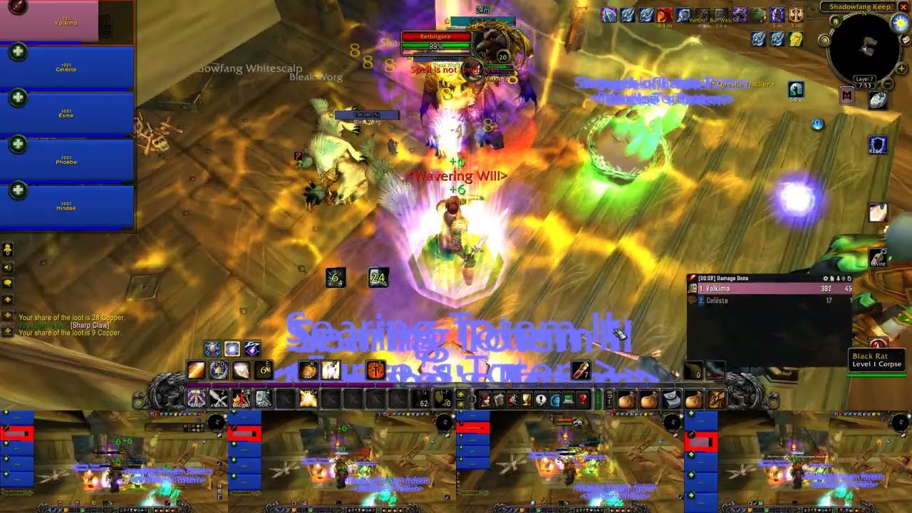 Multiboxing TBC Pre-Patch Paladin x4 Shaman
