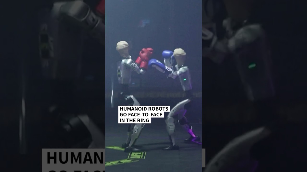Humanoid robots go face-to-face in the ring | AFP