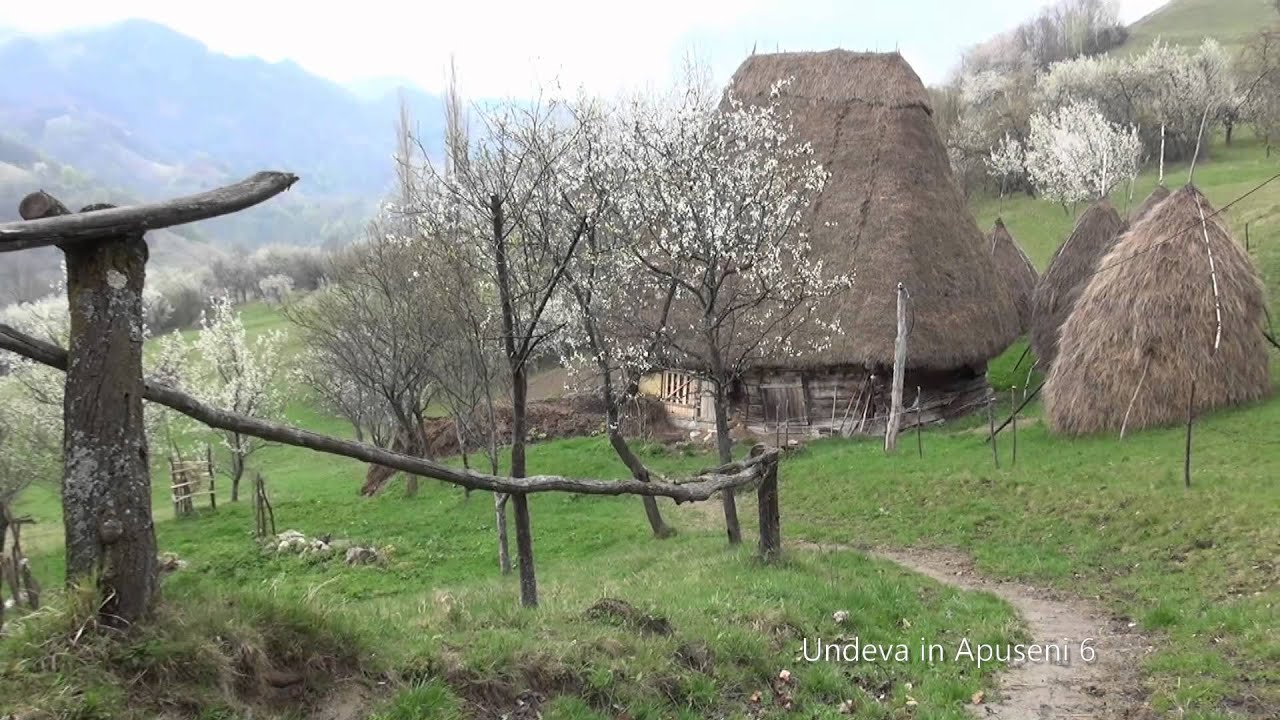 Undeva in Apuseni 6