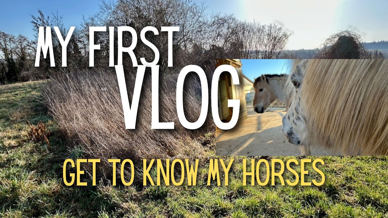 Vlog 1 Slow morning walk, visiting my horses and doing vanbuilding - again