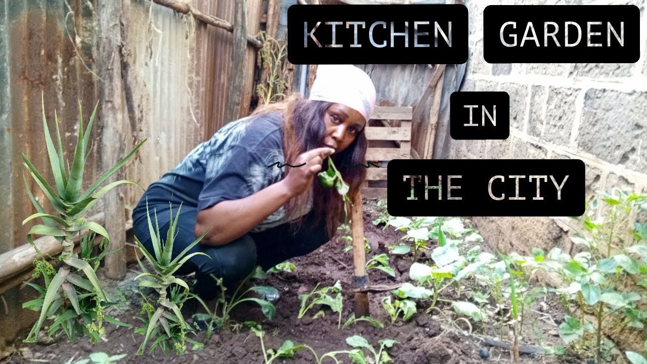 My Kitchen Garden In The City ! 🪴 🪴 Planting Some Veggies 🥕 🥦  ! What A Transformation !