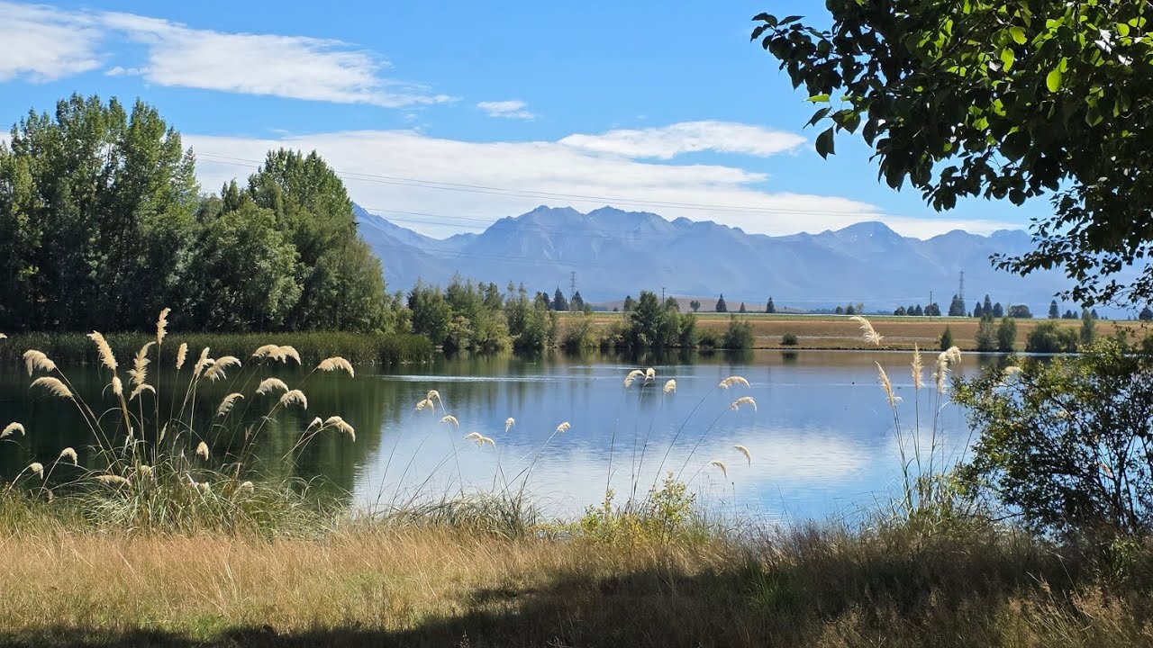 Wairepo Arm loop track, Ruataniwha Conservation Park