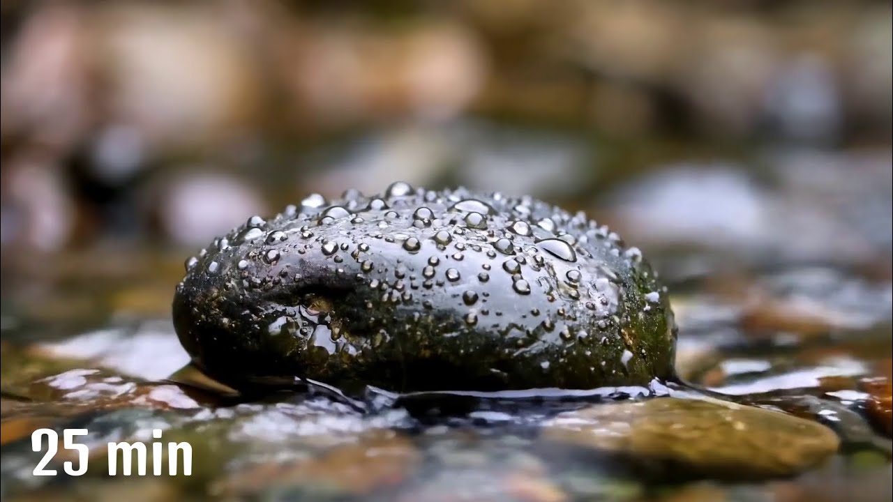 Gentle Rain on River Stone | 25 Minutes Relaxing Piano for Sleep & Meditation