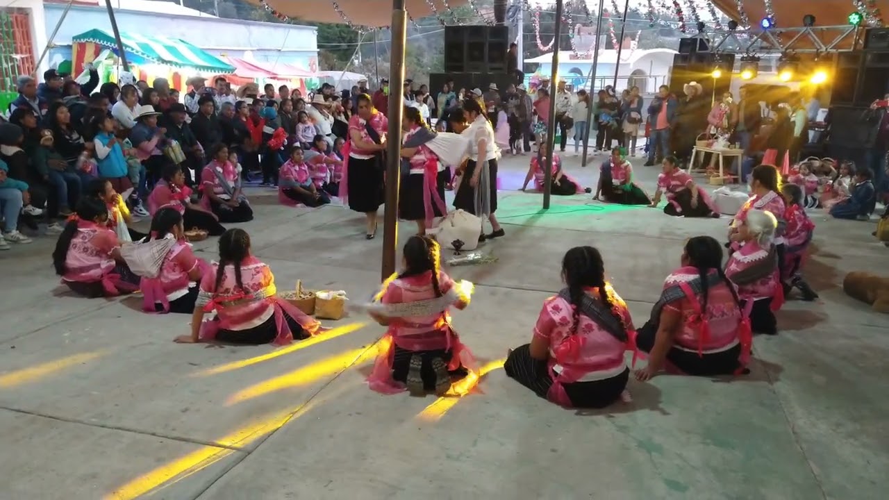 Danza Tradicional Nuevo Amanecer? San Pedro abajo 1rªsecc Temoaya. feria 2024