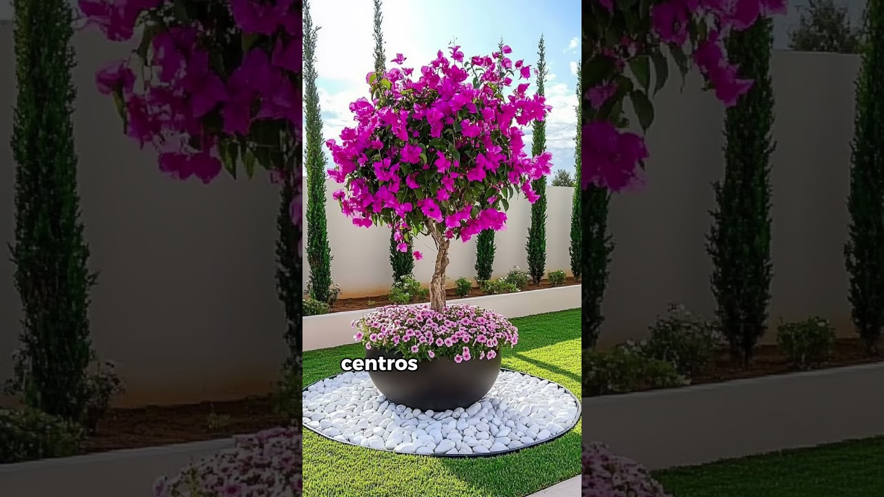 Paisajismo para jardines pequeños con ideas fáciles y económicas 