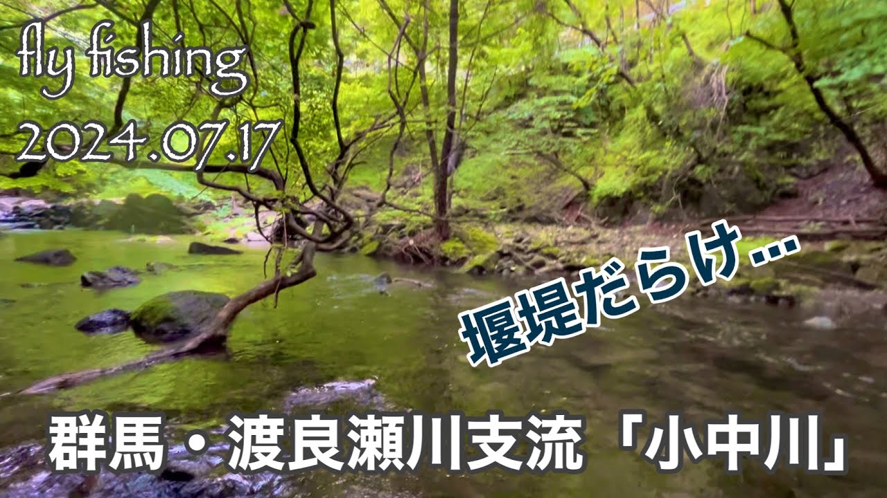 フライフィッシング・群馬県渡良瀬川支流「小中川」2024.07.17