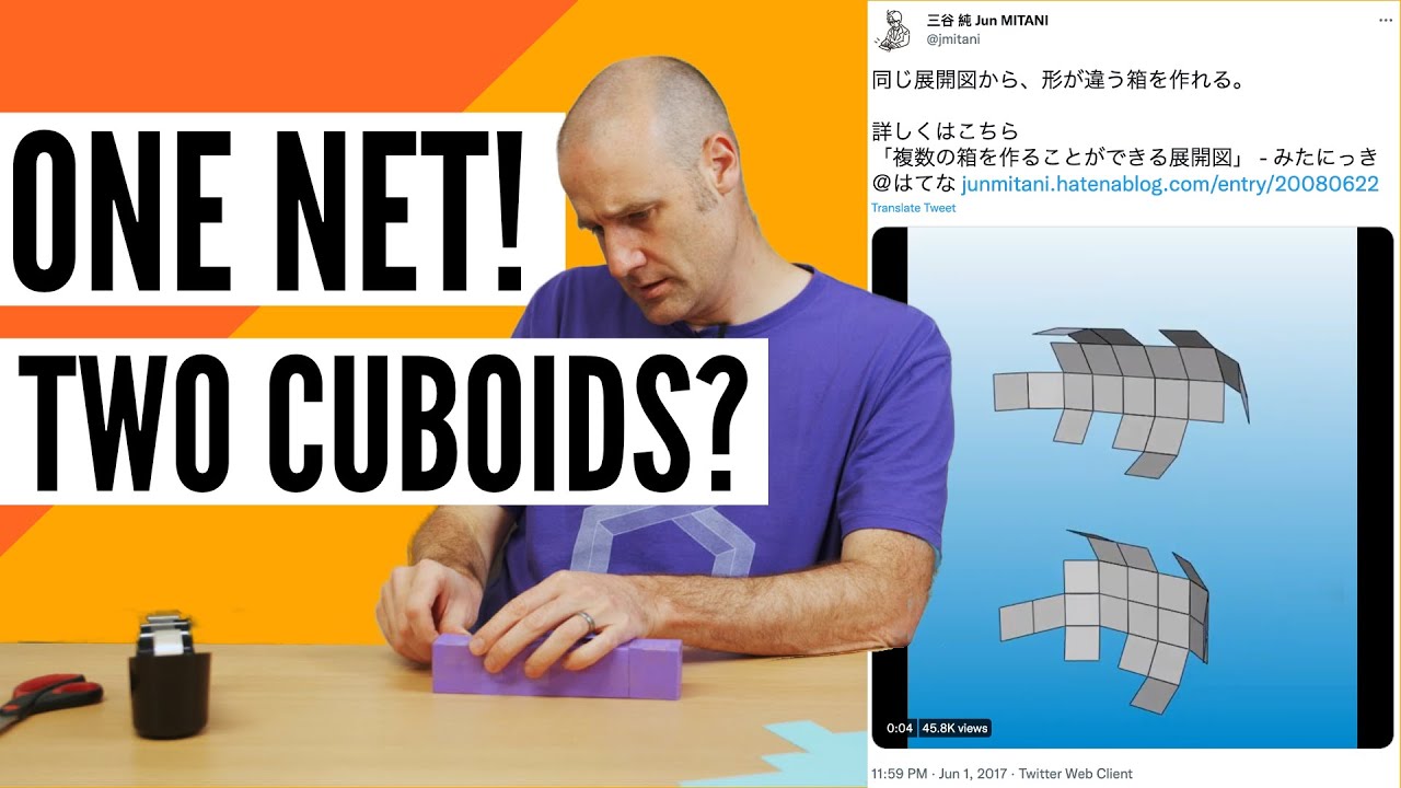 Can the Same Net Fold into Two Shapes?