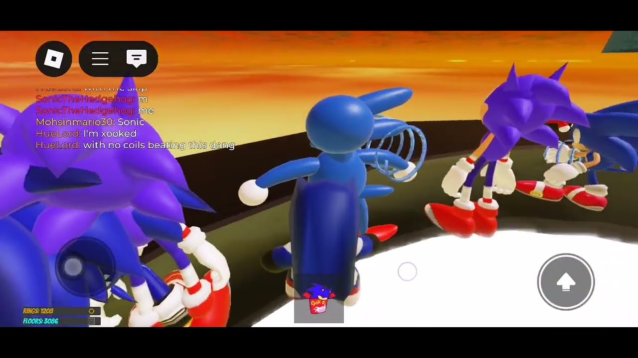 Crazy sonic elevator glitch that I did on purpose
