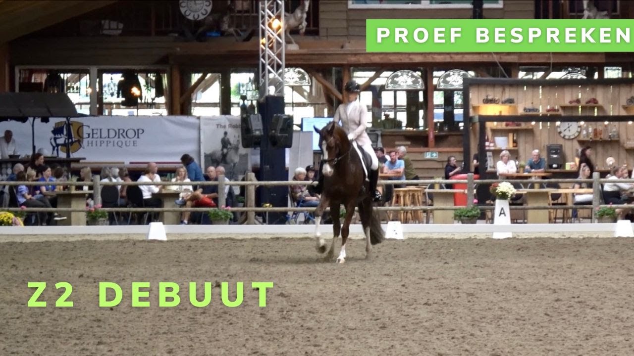 ONS Z2 DEBUUT + Proef 42 bespreken ✅