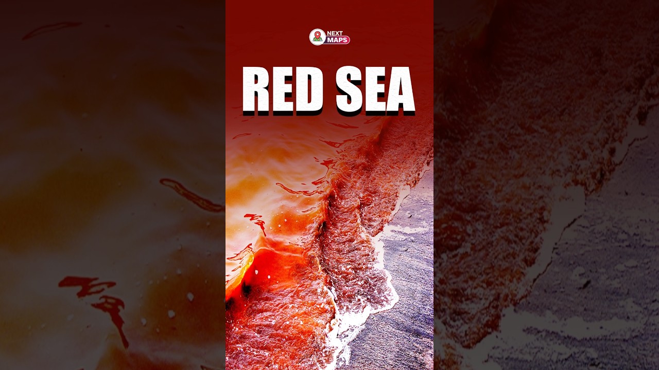 Red Sea Mystery: Why Does It Turn Red? | NEXT MAPS