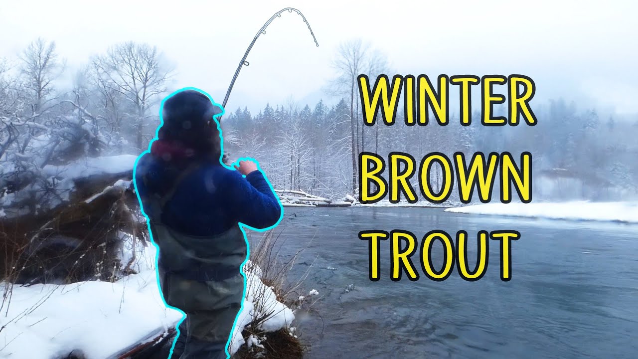 The Magic Bullet for Winter Trout = TWITCH JIGS