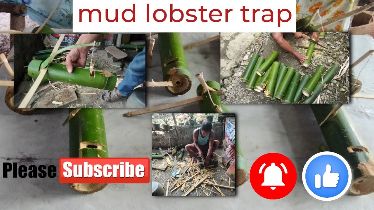 PAGGAWA NG TRAP PARA SA BULASO/MUD LOBSTER HUNTING