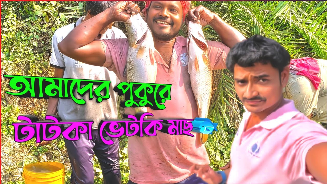 🎣 পুকুরে জাল ফেলে ধরা হলো বিশাল মাছ! 😲 | Village Fishing 2026