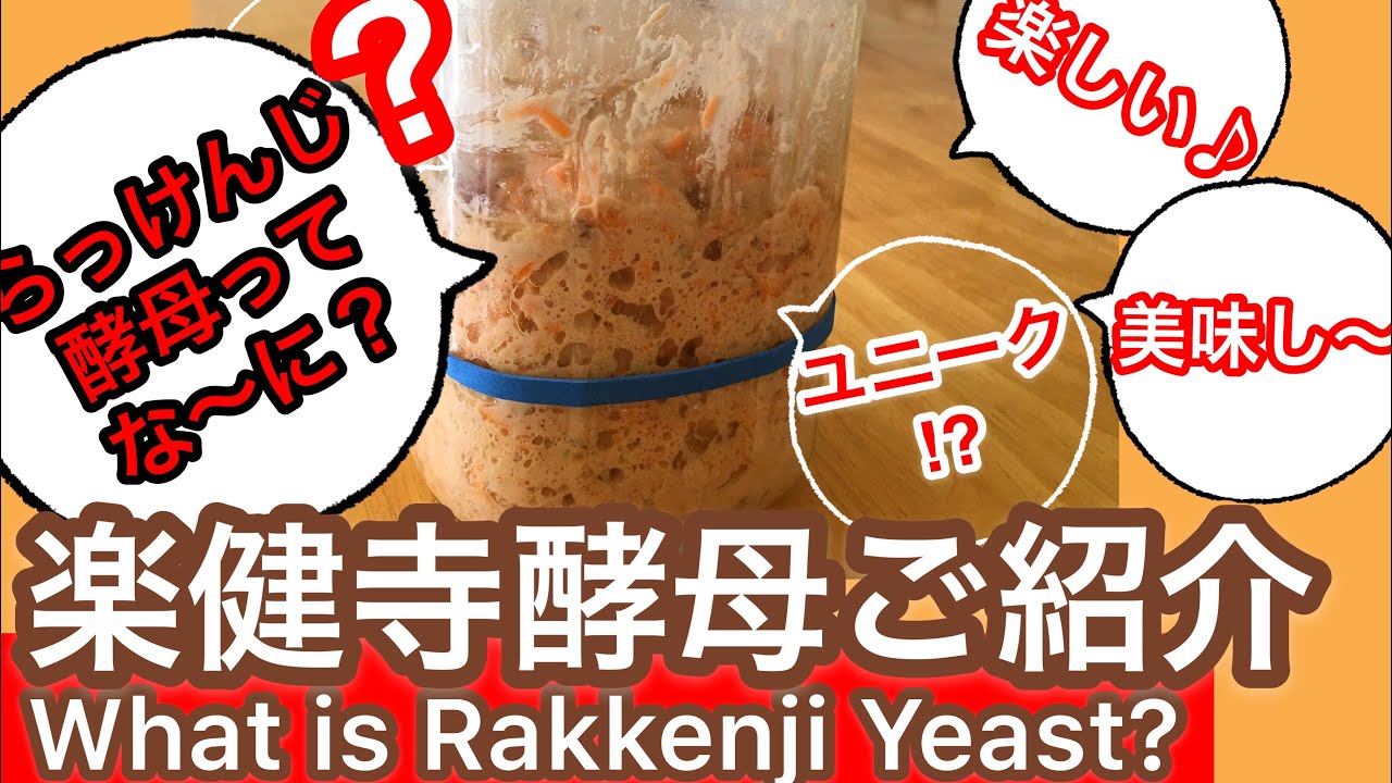 楽健寺酵母のご紹介/種起こし、種つぎの仕方