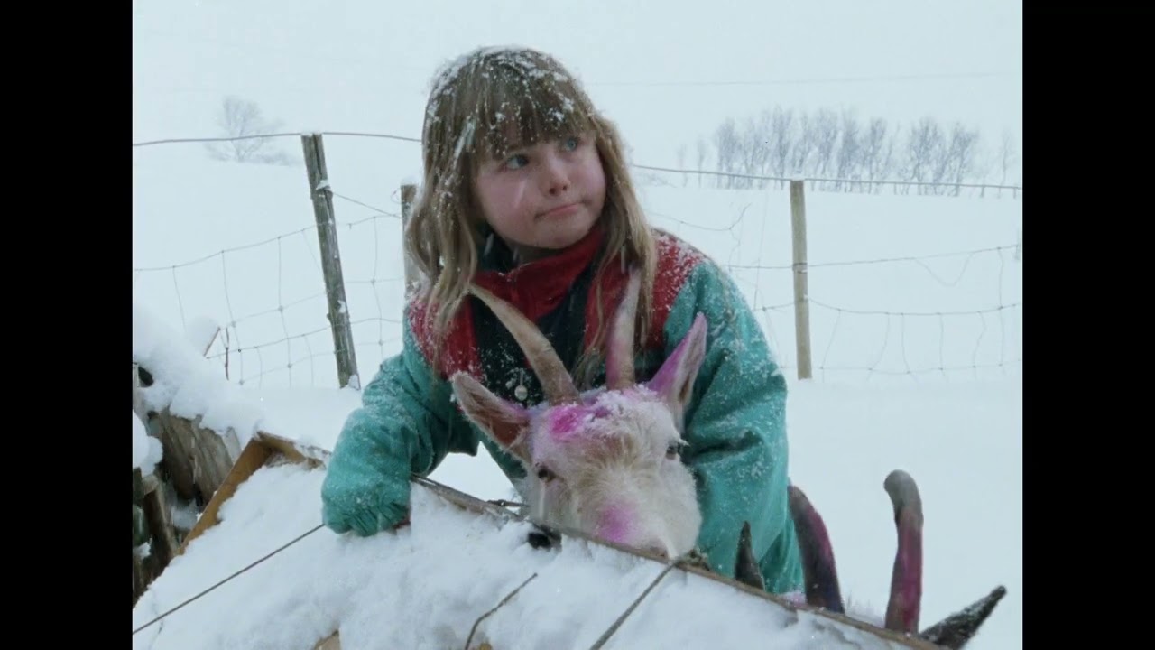 KARLSØYA  -  Karlsøyfilmen 1994 - English subtitles