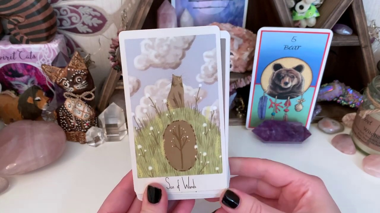 Cat Decks // Tarot & Oracle // 