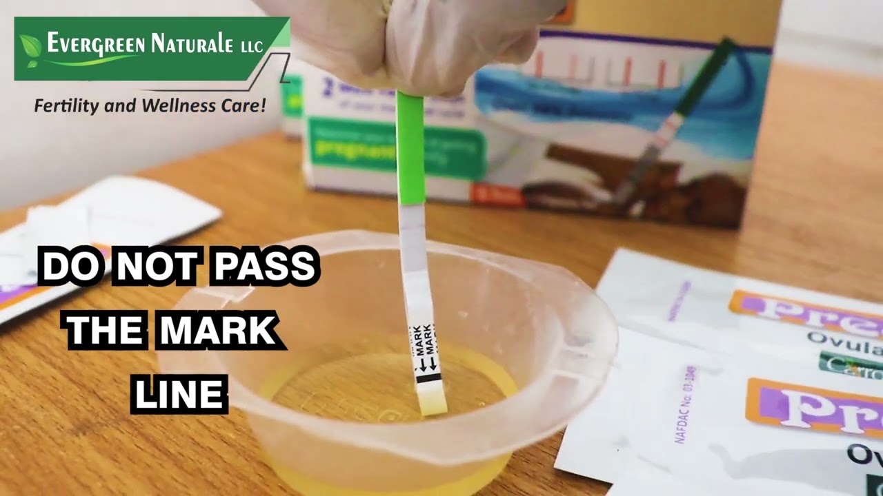 HOW TO DO AN OVULATION TEST WITH PREDICTE OVULATION TEST STRIP