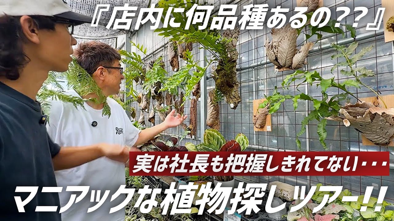 5000坪の総合園芸店で気になるマニアックな植物ばかり紹介してみた!!