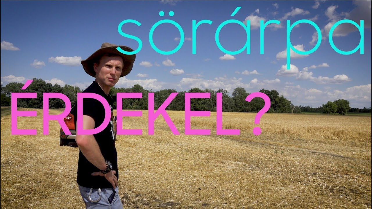 Tudod, mi a különbség az őszi és tavaszi árpa között?